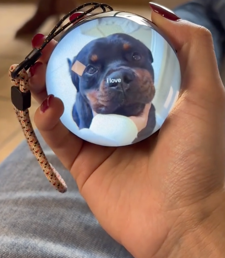 MemoriaSphere™ Customizable Video Ball